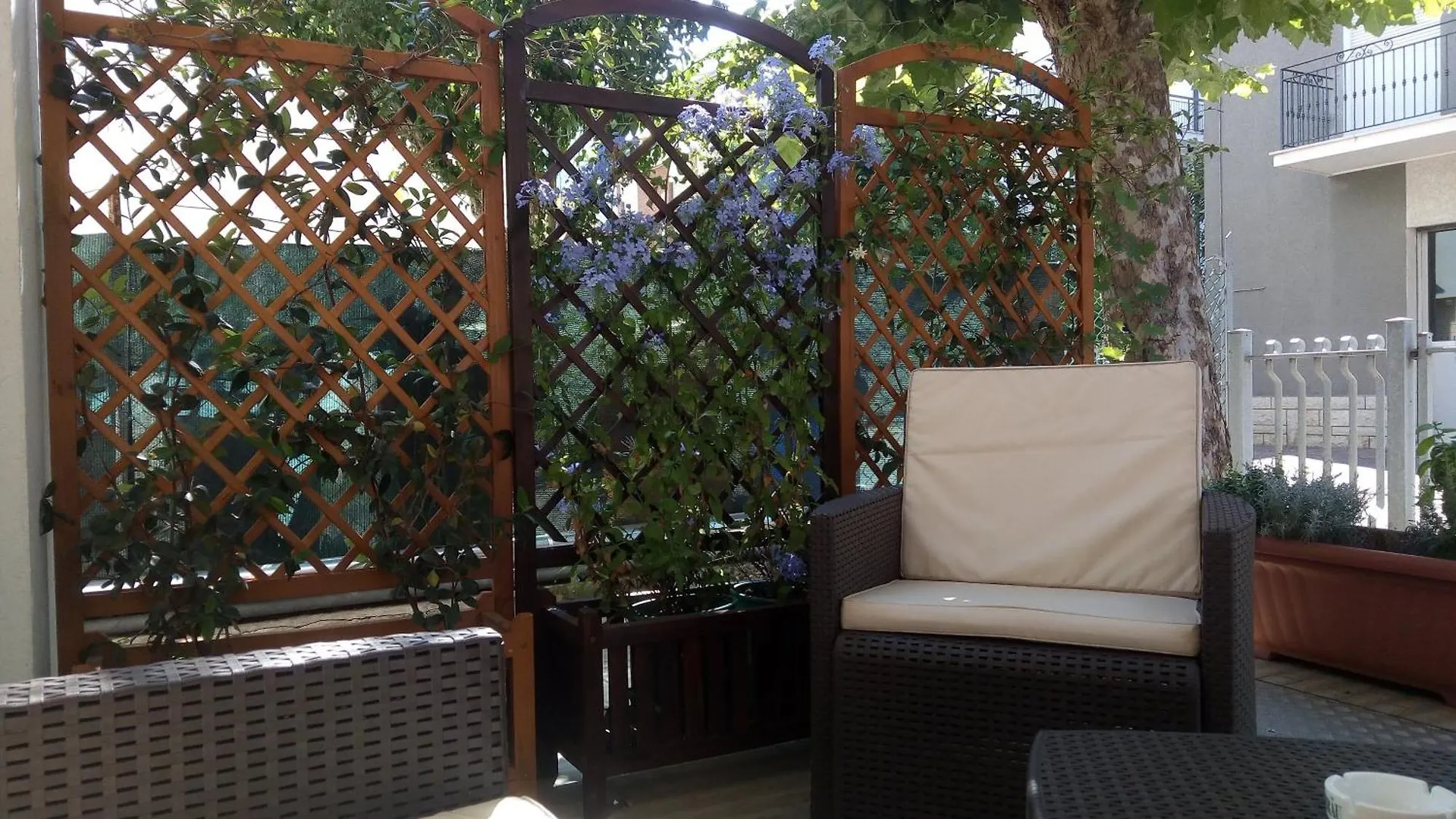 Hotel Carmen Viserba Italy