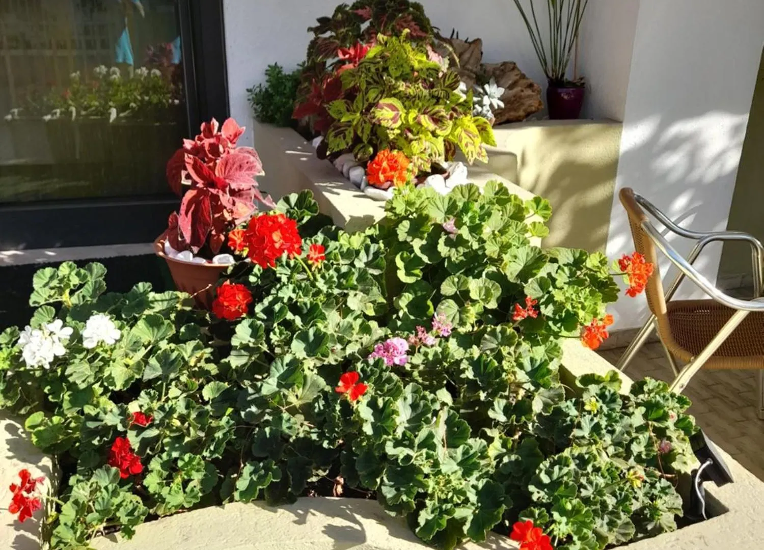 Hotel Carmen Viserba Viserbella di Rimini